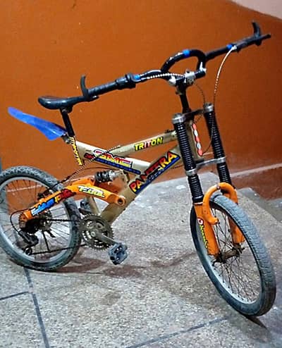 Mountain buffalo importid bicycle 