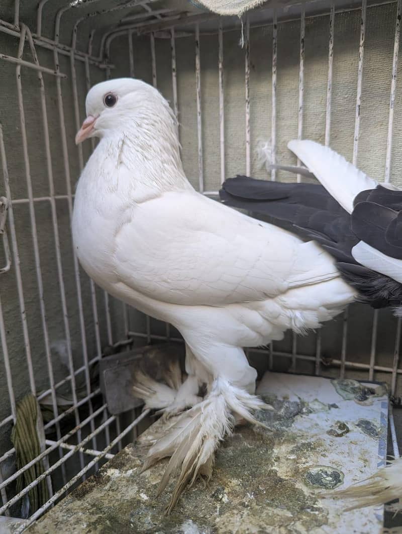 full body computer 0