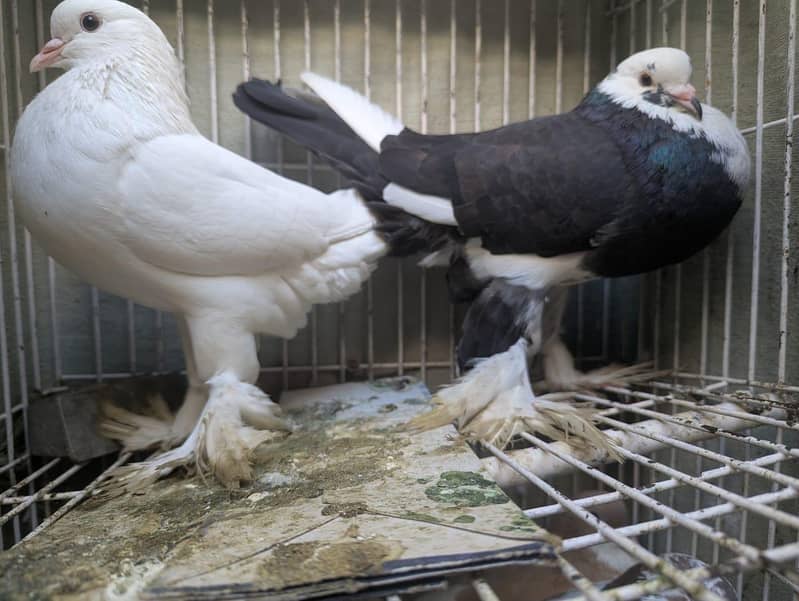 full body computer 1