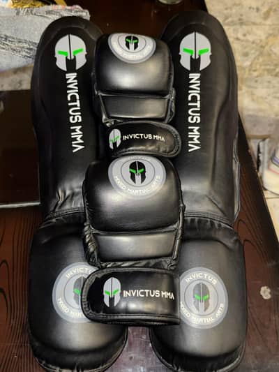 Brand new MMA boxing gloves and Shin guards For sale