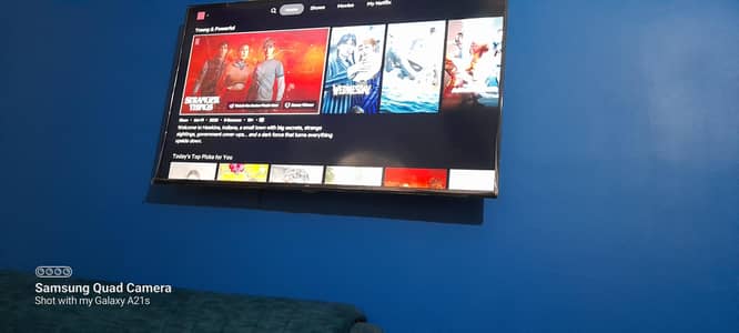 tcl 55 inches android led