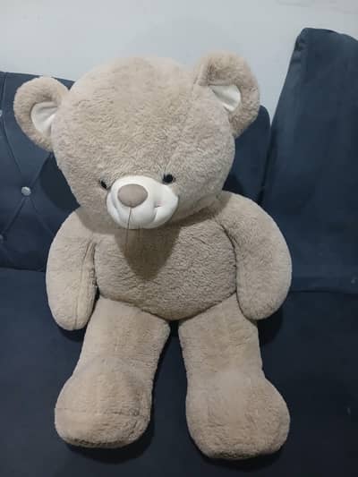 Teddy bear for sale.