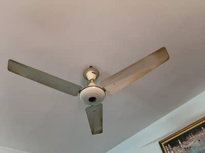 pak fan 99.99 percent copper ceiling fan