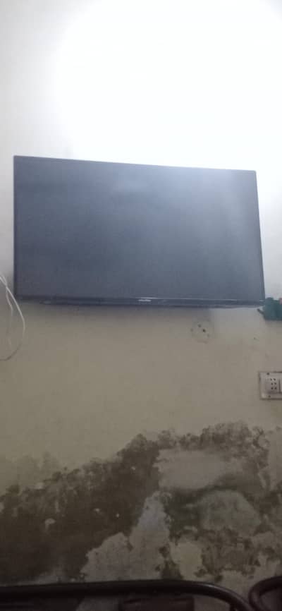 Ecostar LED TV 43 inch