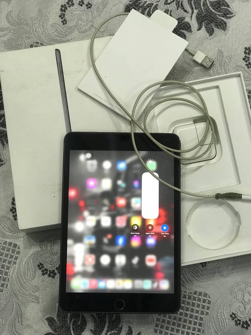 IPad Mini 5 1