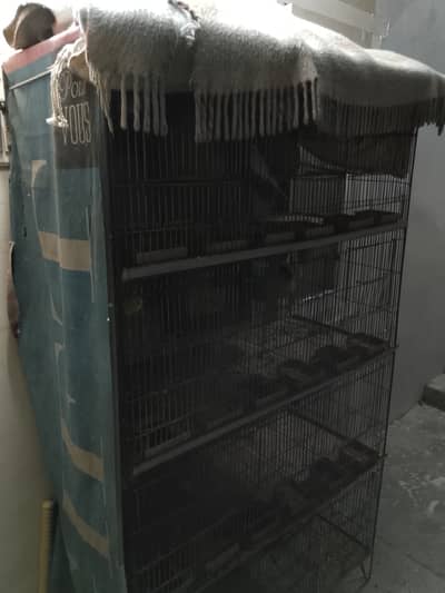 Mixed Australian patriots