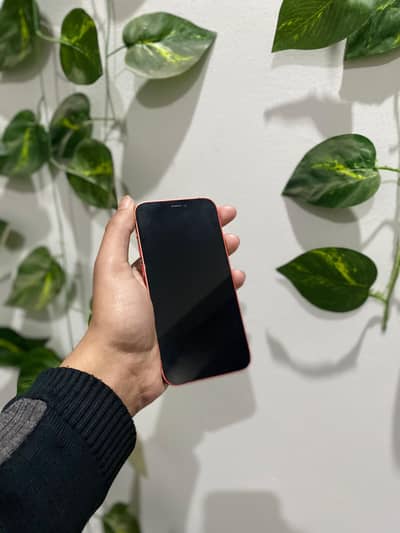 Iphone 12mini 128 gb (jv)