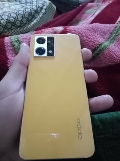 olx user 03236547627//03157470531