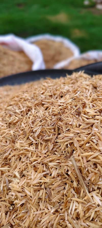 Rice Husk ( Chawal ka chilka )