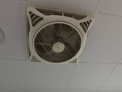 Ceiling Fans for Sale – Working Condition