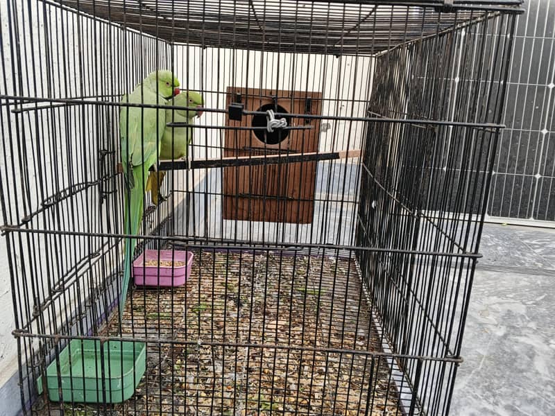 Khata breader pair 0