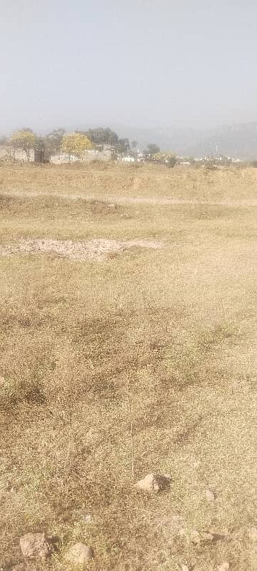 5 Marla Sun Face Ideal Option