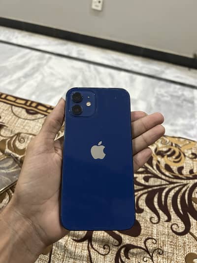 Iphone 12 Pta Approved