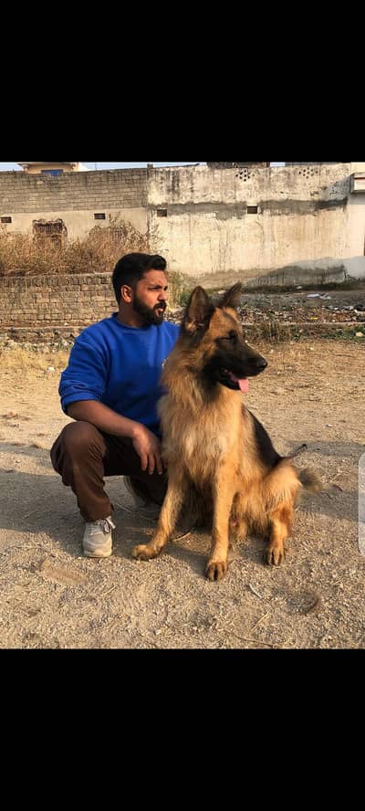 Long Coat male available for sale