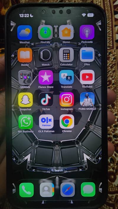 13 pro Max  Back Breack