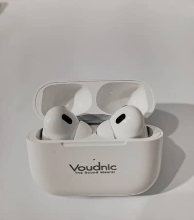 Best Air Buds in Rs 1700