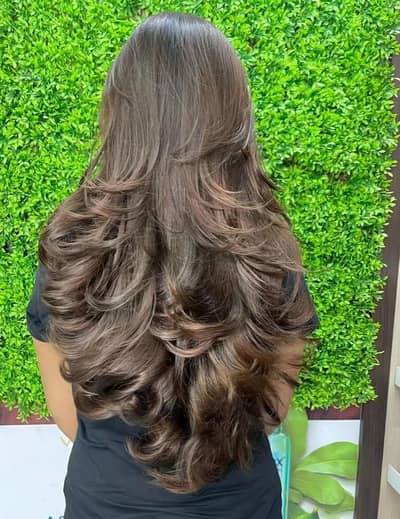 hair cutting expert oll professional hair cut