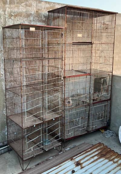 bird cages urgent sale