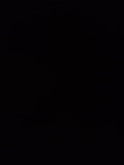 Rose Bouquet bag  (crochet)