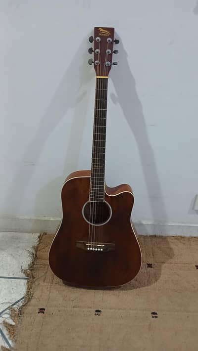 Brand New Xuebao Acoustic Guitar XB-41 1 MC + Bag & Strap (Unused)