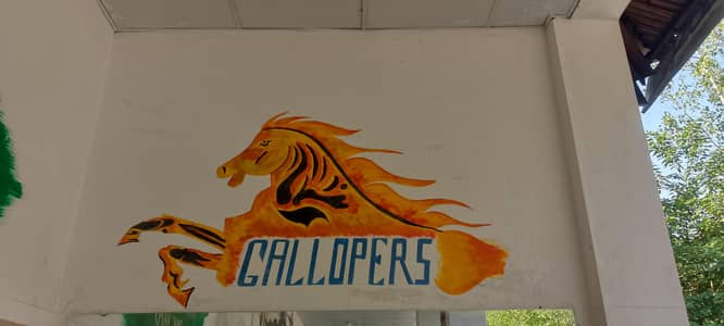 PAINTER & DRAWING ARTIST