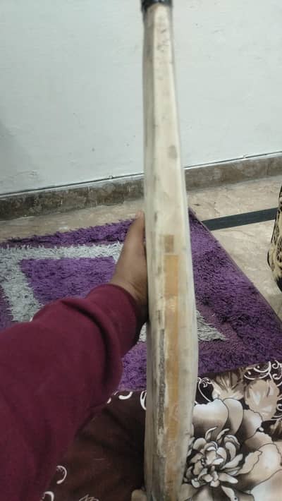 English willow hard ball bat