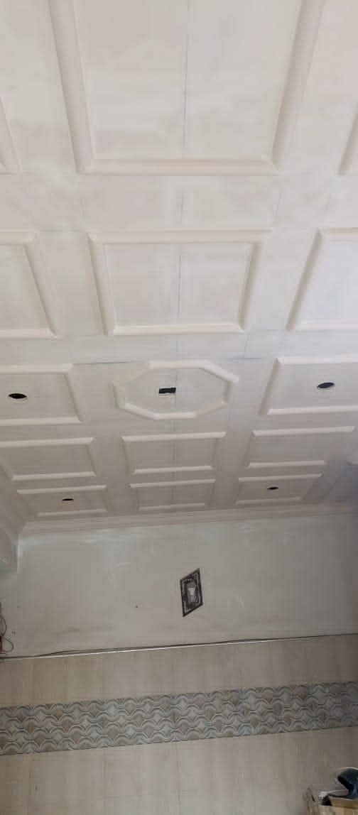 Ceiling Work 0