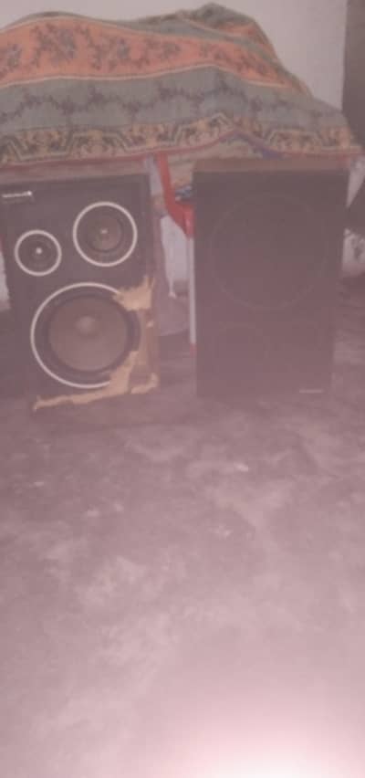 only number contact 03145879358