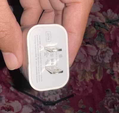 brand new 20W iphone adapter ctype to lighten