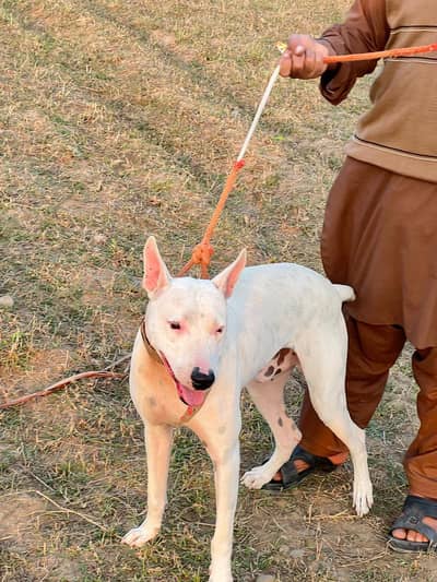 good items haa yh to