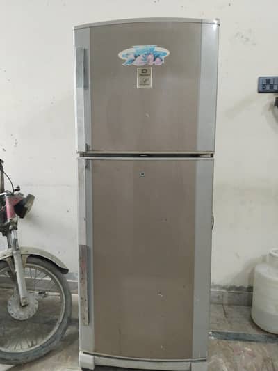 dowlance medium size for sell