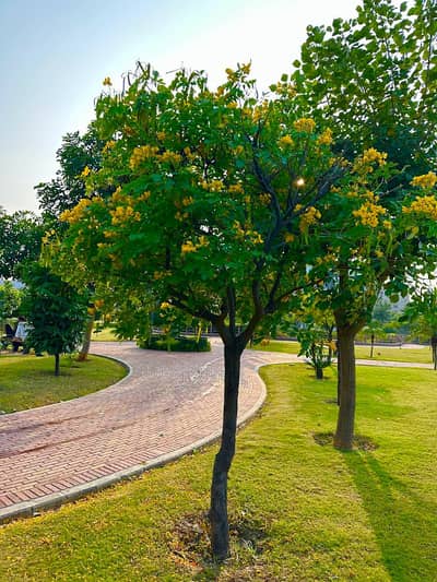 05 Marla Residential Plot Available For Sale. In Faisal Town F-18 Block C Islamabad.