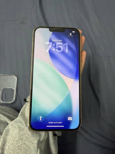 Iphone 13 pro max pta