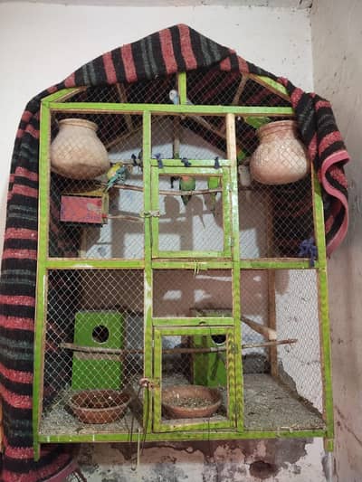 beautiful colour and big size