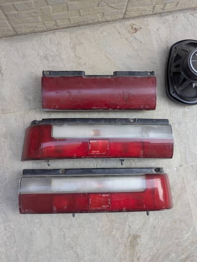 Cultus Fresh Back Light