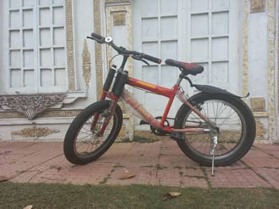 PHOENIX HTC OVAL bicycle (new)