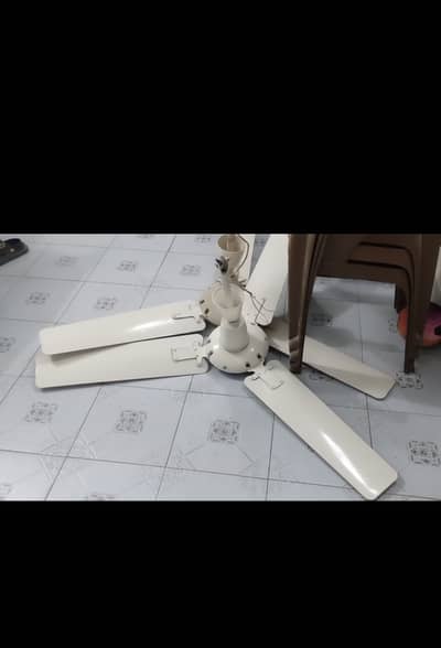 Royal and pak fans in good condition. Both in 7000