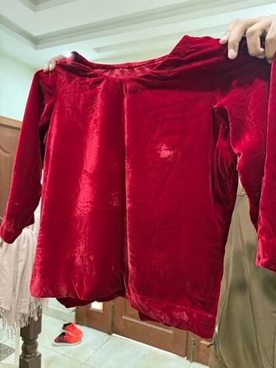 Organza Lehenga and Velvet Blouse