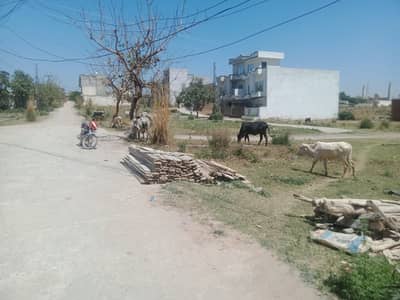 5 Marla corner beautiful flower in adila road