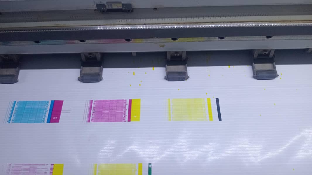 Flex Printing press 2