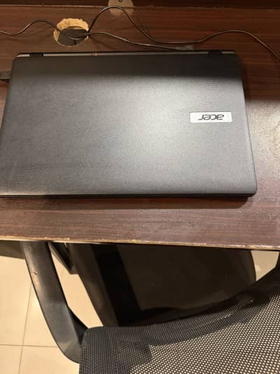 Acer celeron