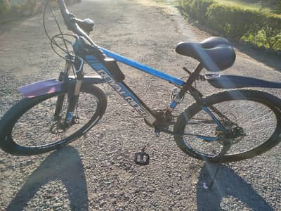 Royal Rider bicycle for sale excellent condition