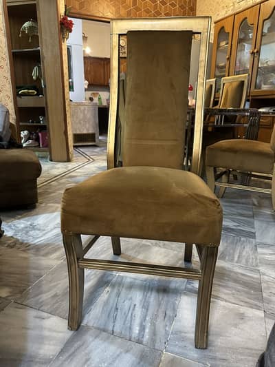 Set Of 6 Dining Chairs | Best Quality | Velvet Poshish