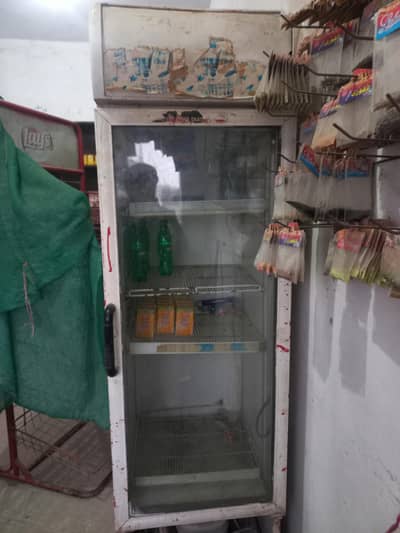 Single Door Commercial Display Fridge – Cooling OK