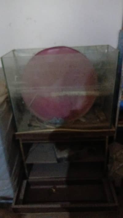 fish equraim glass with trali  03244007284 what's up