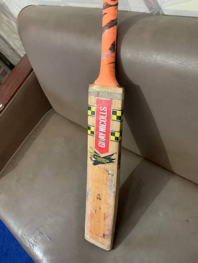 English Willow Cricket Bat