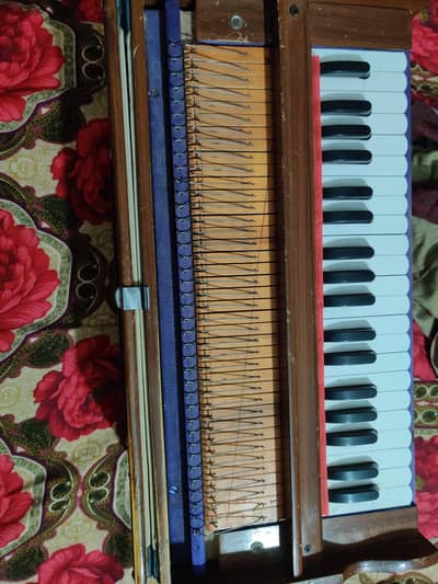 harmonium for sale
