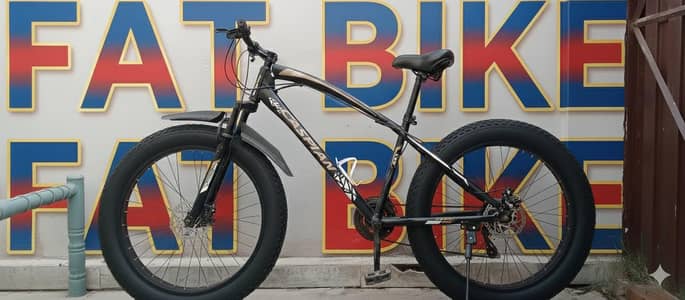 Fat bike (cycle) for saled
