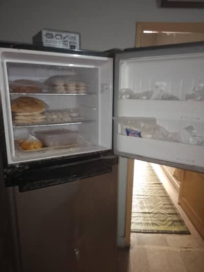 fresh orient campani