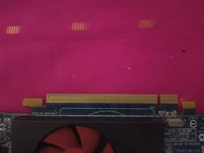 AMD graphics card 1 gb